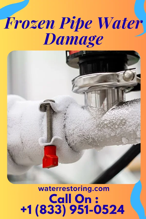 Frozen Pipe Water Damage in Sarasota Springs, FL