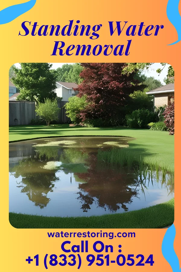 Standing Water Removal in Sarasota Springs, FL